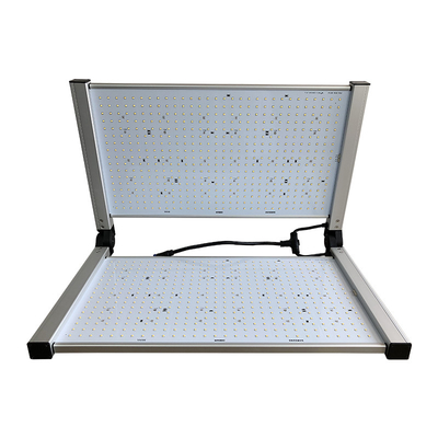 480W উদ্যানপাল্ট LED হালকা বৃদ্ধি